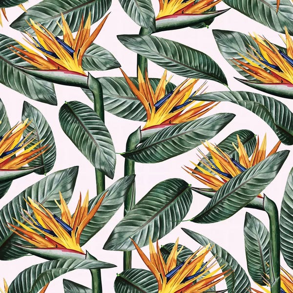 Floral & Botanical Patterns: Bird Of Paradise Leaf by 83 Oranges