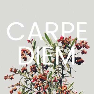 Carpe Diem by 83 Oranges framed canvas print