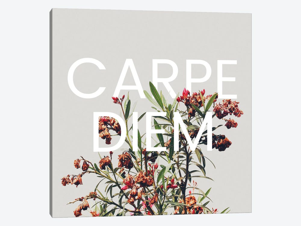 Carpe Diem by 83 Oranges 1-piece Art Print
