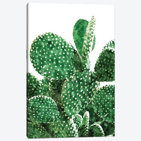 Velvet Cactus Canvas Print #UMA1428} by 83 Oranges Art Print