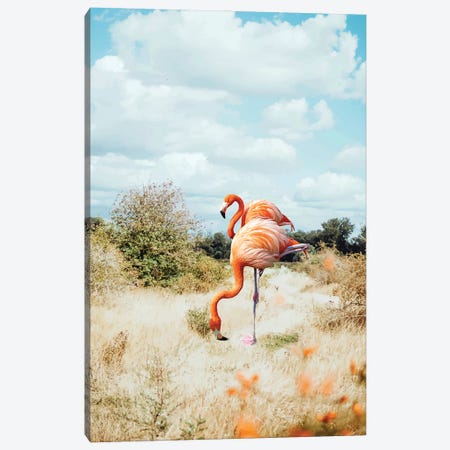Flamingo Couple Canvas Print #UMA1482} by 83 Oranges Canvas Art Print