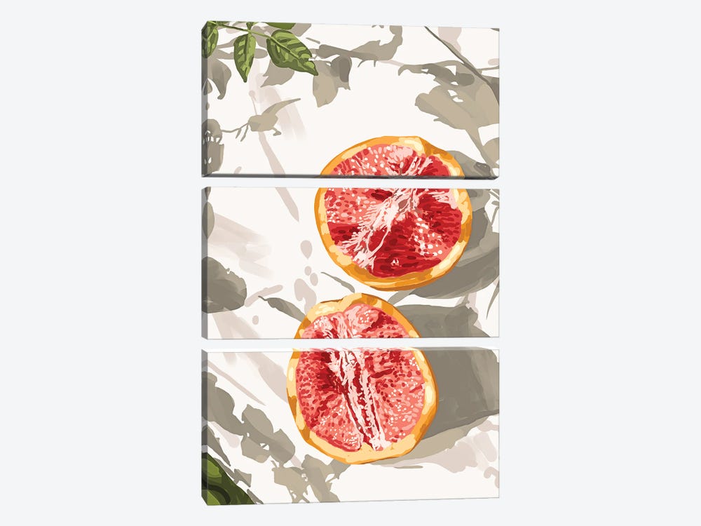 Grapefruit kinda zest for life by 83 Oranges 3-piece Canvas Art