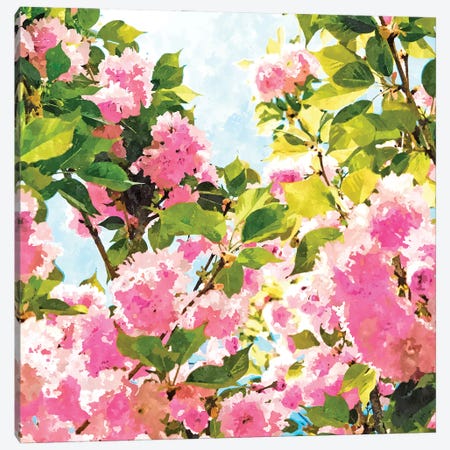 Day dreaming under the blooming Bougainvilla Canvas Print #UMA1518} by 83 Oranges Canvas Print