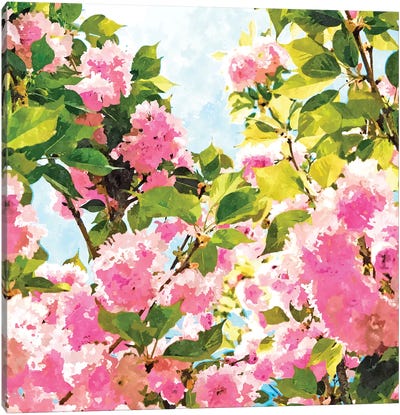 Day dreaming under the blooming Bougainvilla Canvas Art Print - 83 Oranges