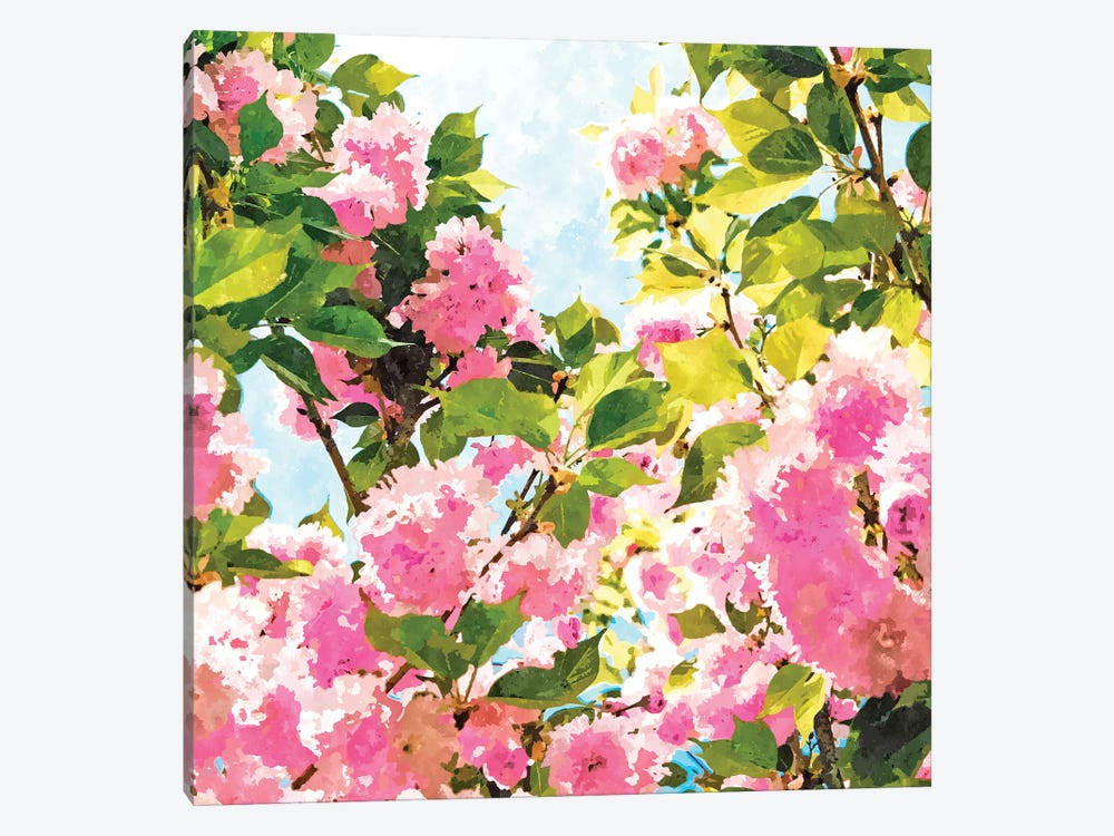 Day dreaming under the blooming Bougainvilla by 83 Oranges 1-piece Canvas Art Print