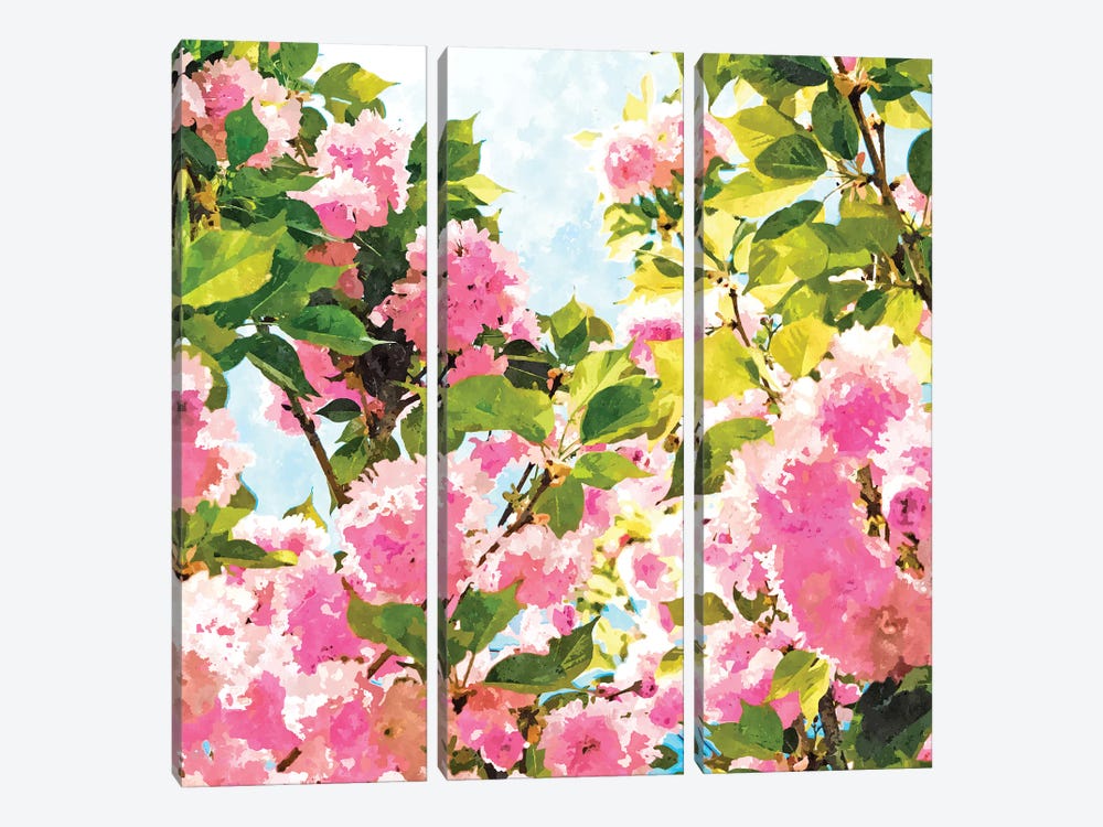 Day dreaming under the blooming Bougainvilla by 83 Oranges 3-piece Canvas Print