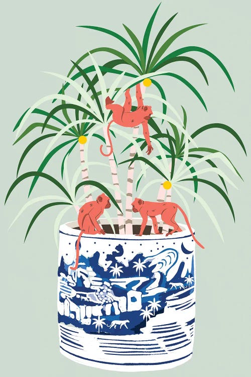 Tropical Bonsai