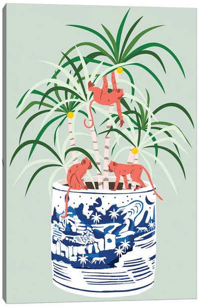Tropical Bonsai Canvas Art Print - Monkey Art