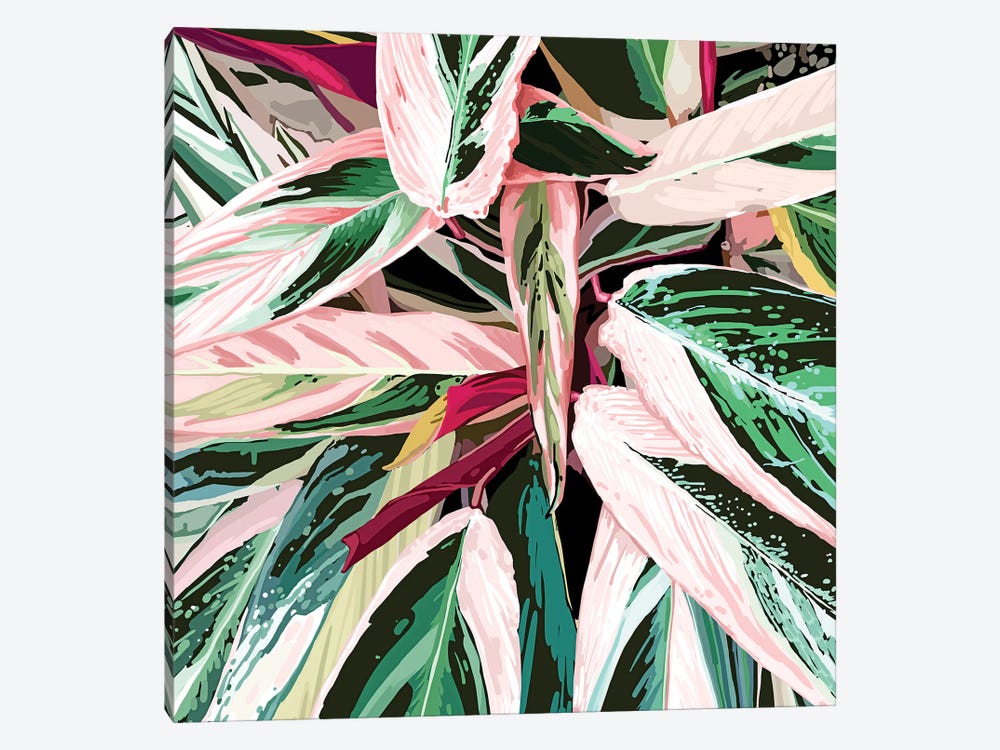 Tropical Variegated Houseplant by 83 Oranges 1-piece Canvas Art