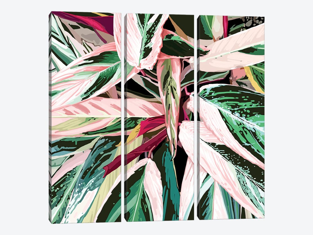 Tropical Variegated Houseplant by 83 Oranges 3-piece Canvas Wall Art