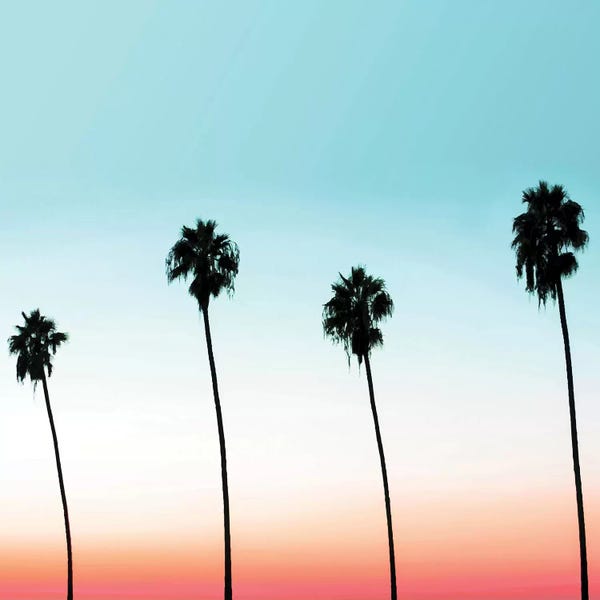 Los Angeles: Sunset Boulevard by 83 Oranges
