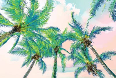 Dreamy Palms by 83 Oranges canvas print