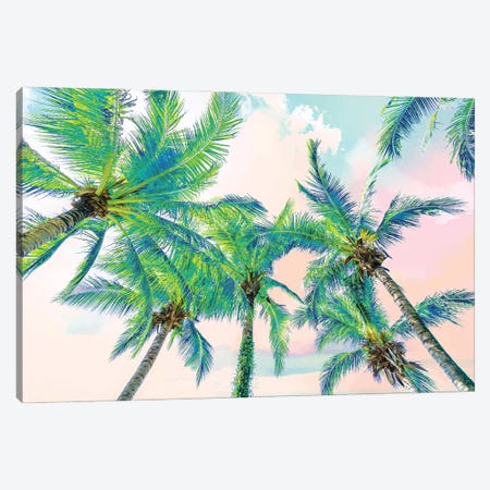 Dreamy Palms Canvas Print #UMA1551} by 83 Oranges Art Print