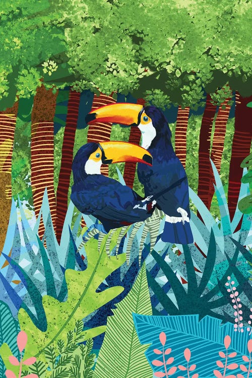 Toucans