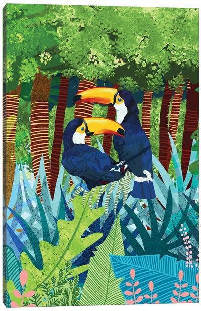 Toucans Canvas Art Print - Toucan Art