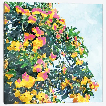 Summer Bougainvillea Watercolor Painting Canvas Print #UMA1574} by 83 Oranges Canvas Wall Art