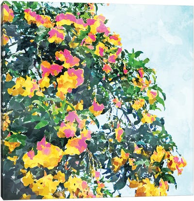 Summer Bougainvillea Watercolor Painting Canvas Art Print - 83 Oranges