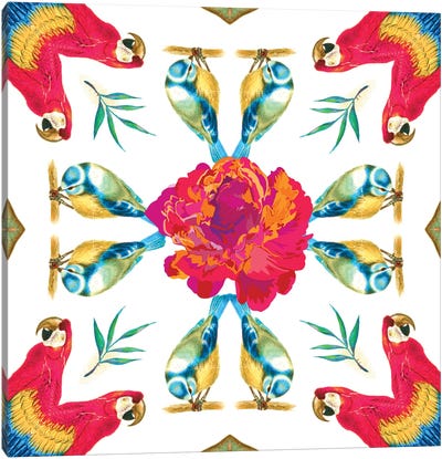 Tropical Scarlet Macao Mandala Canvas Art Print - Macaw Art