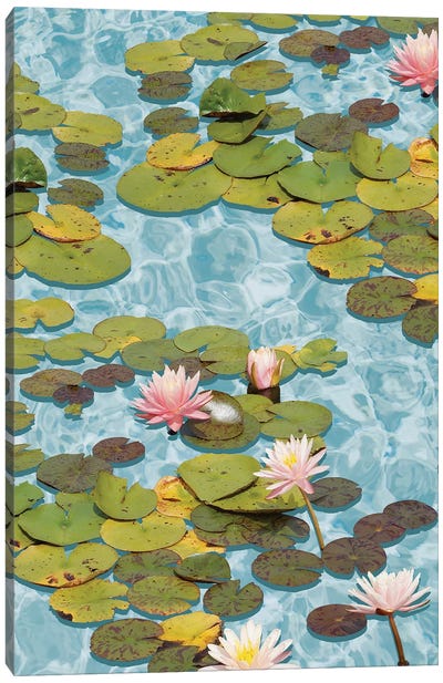 Lotus Formation Canvas Art Print - Lily Art