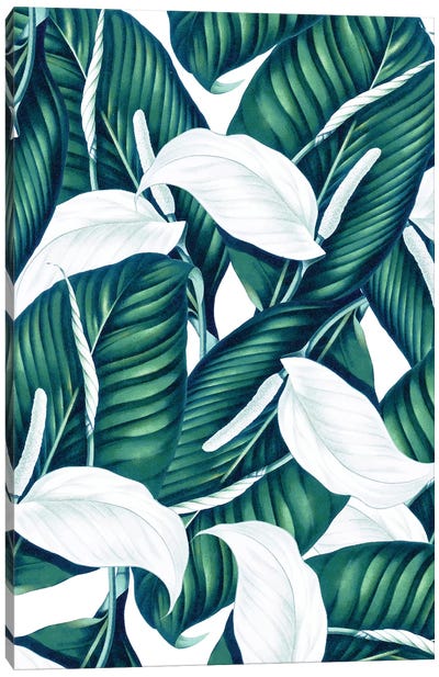 Botanical Heaven Canvas Art Print - Earthen Greenery