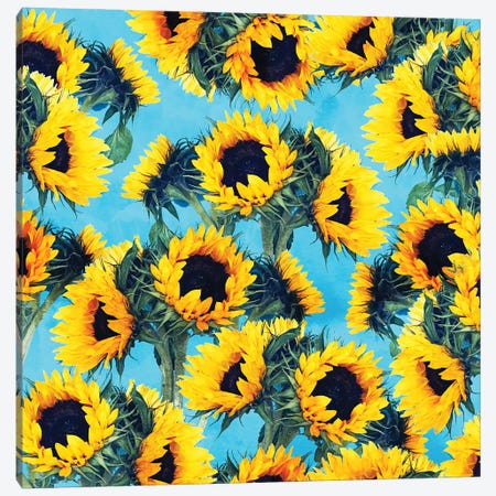 Sunflowers And Sky Canvas Print #UMA1703} by 83 Oranges Canvas Art