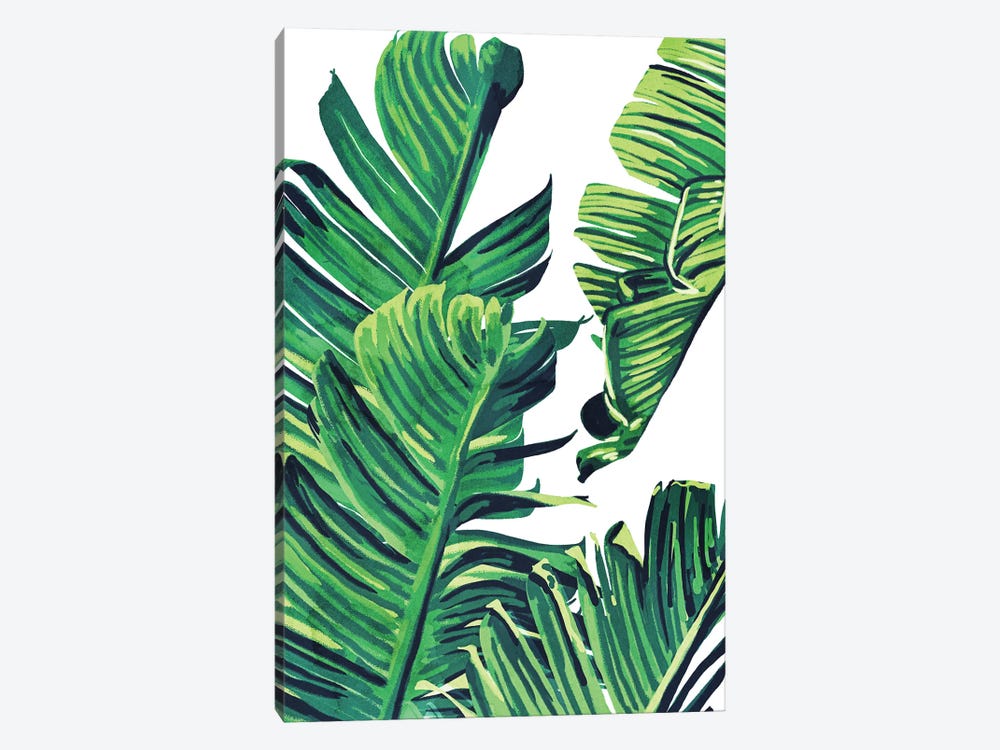 Banana Tree Leaves by 83 Oranges 1-piece Canvas Print