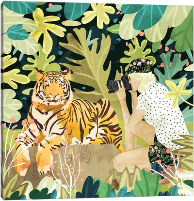Tiger Sighting Canvas Art Print - Tiger Art