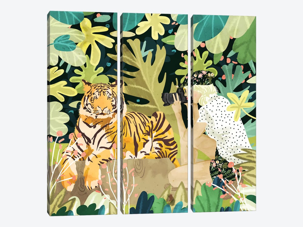 Tiger Sighting by 83 Oranges 3-piece Canvas Art Print