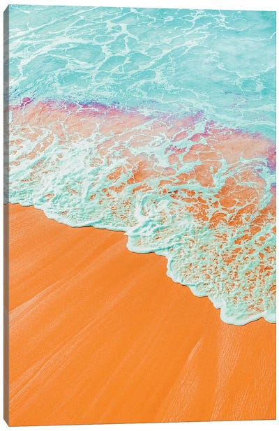 Coral Shore Canvas Art Print - Tropical Beach Art