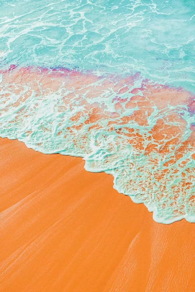 Beach Lover: Coral Shore by 83 Oranges