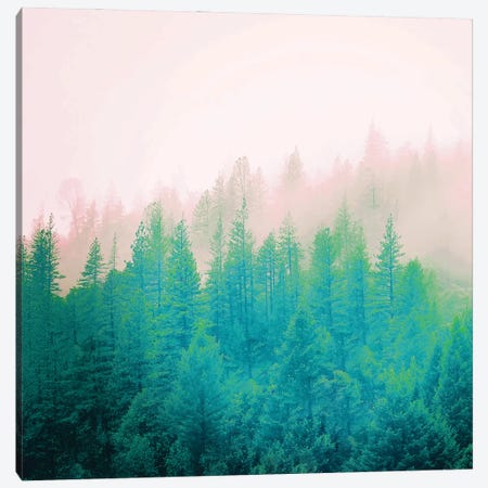 Forest Fog II Canvas Print #UMA1790} by 83 Oranges Canvas Print
