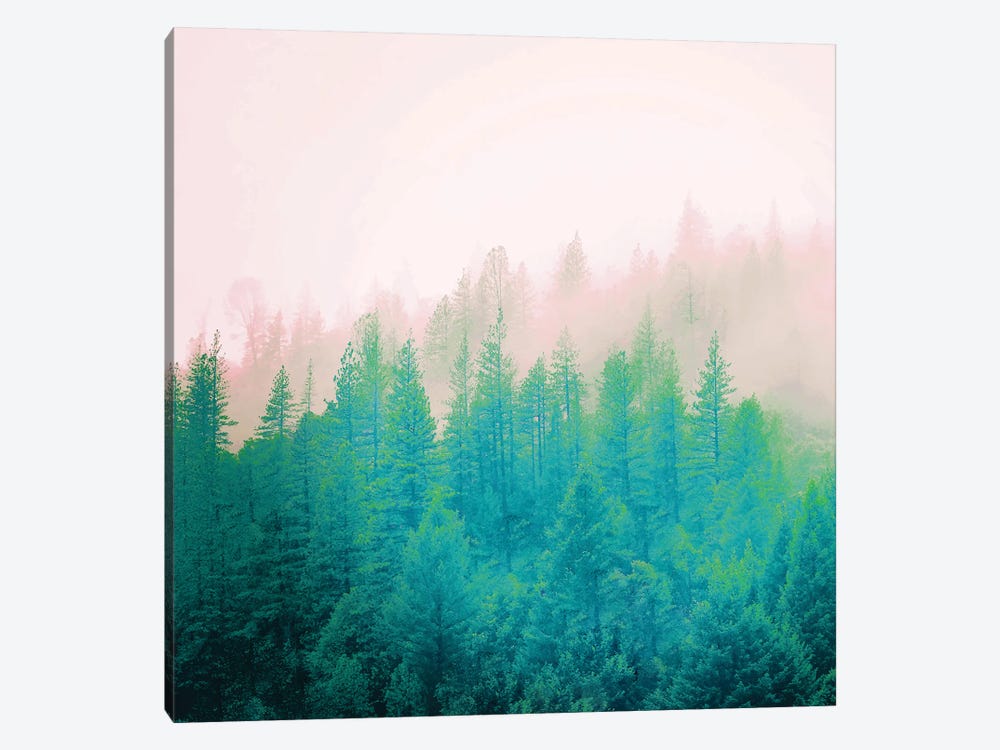 Forest Fog II by 83 Oranges 1-piece Canvas Art