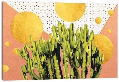 Cactus Dream Canvas Art Print - Vegetable Art