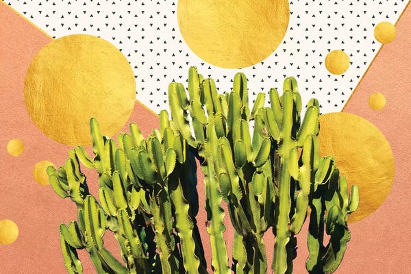 Succulents: Cactus Dream by 83 Oranges