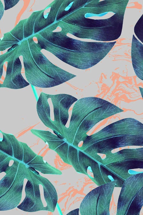 Be Tropical, Botanical Jungle Monstera Illustration