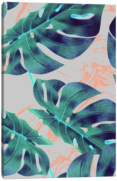 Be Tropical, Botanical Jungle Monstera Illustration Canvas Art Print - Monstera Art