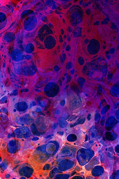 Color Overdose by 83 Oranges metal wall art