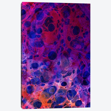 Color Overdose Canvas Print #UMA1814} by 83 Oranges Canvas Art Print