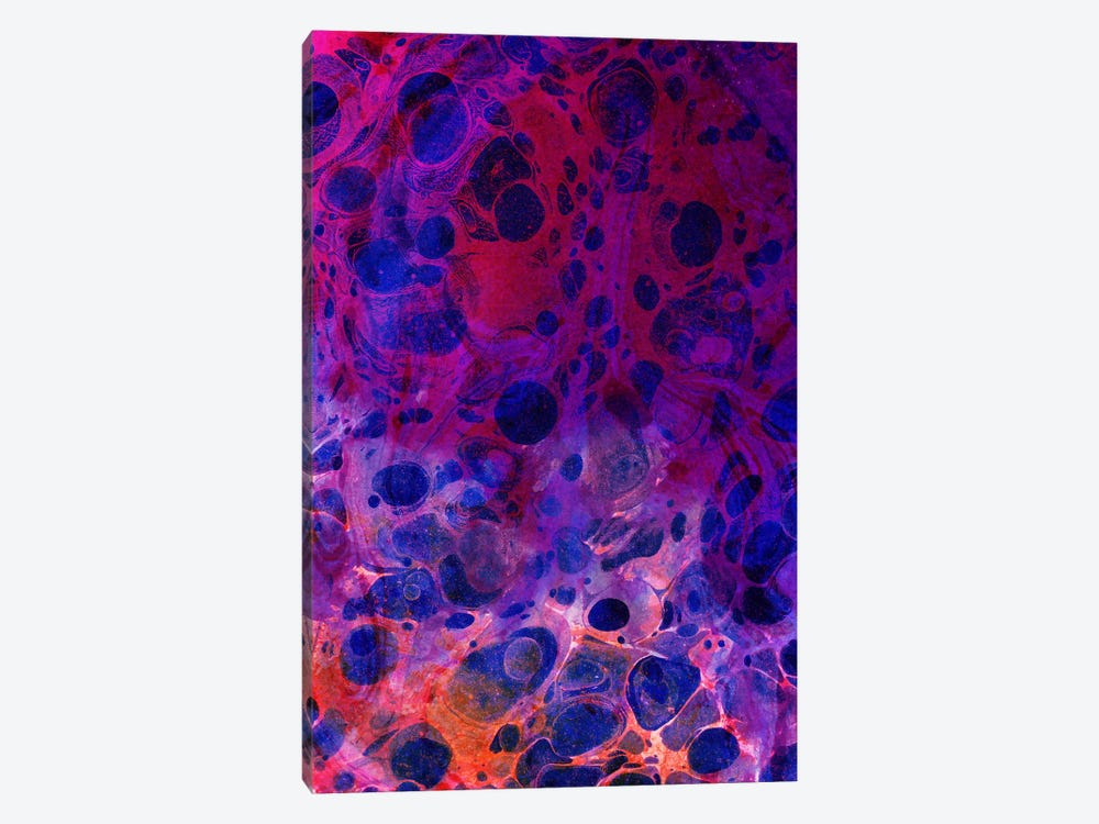 Color Overdose by 83 Oranges 1-piece Canvas Wall Art