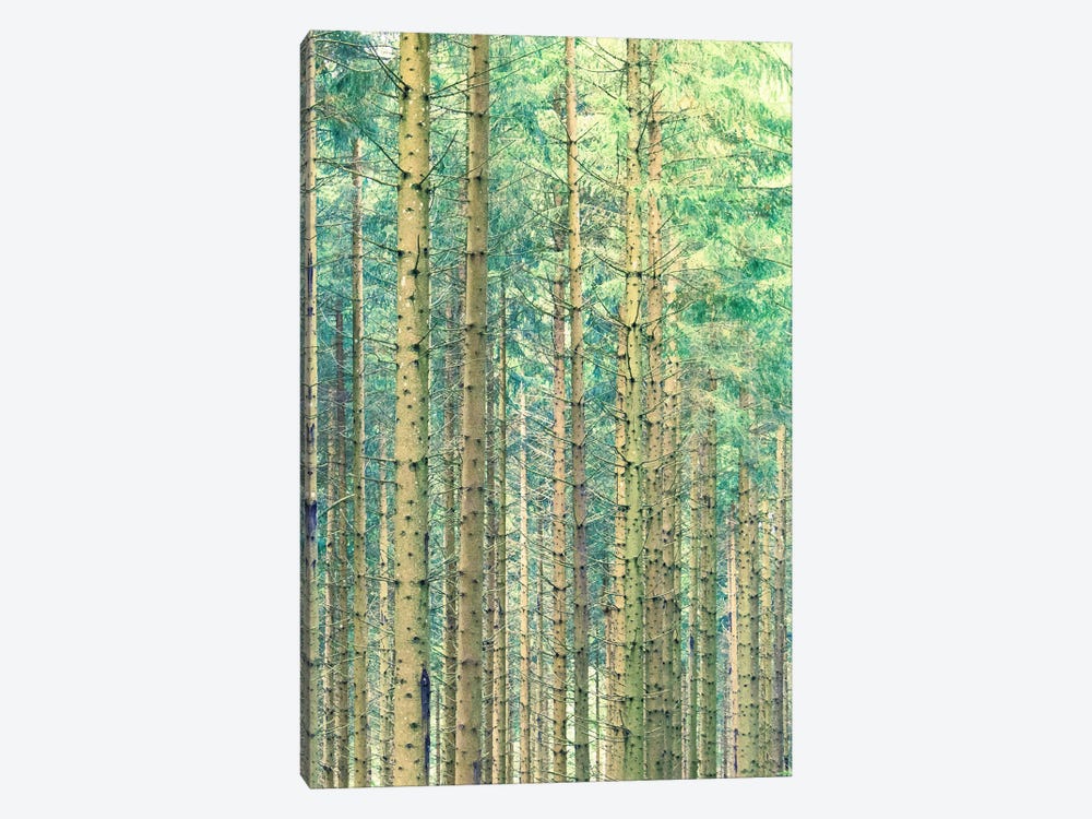 Locked In The Woods by 83 Oranges 1-piece Canvas Artwork