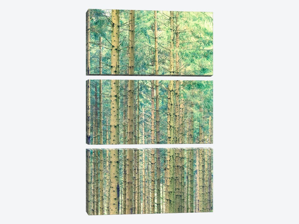Locked In The Woods by 83 Oranges 3-piece Canvas Artwork