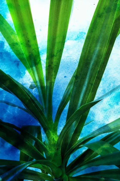 Remixed Spirit I