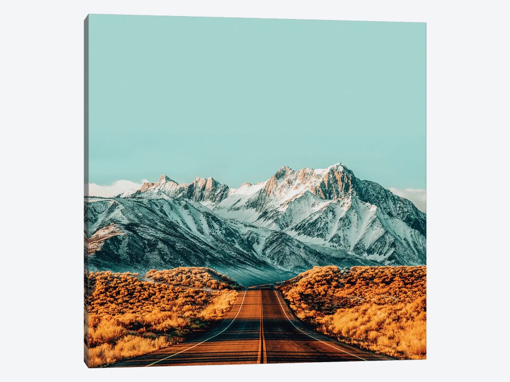The Road Less Traveled by 83 Oranges 1-piece Canvas Artwork