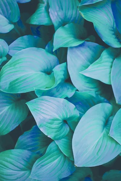 Leaf Me Alone by 83 Oranges canvas print