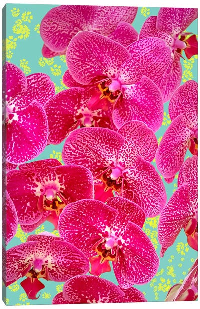 Finding My Way Back To Myself Canvas Art Print - Orchid Art
