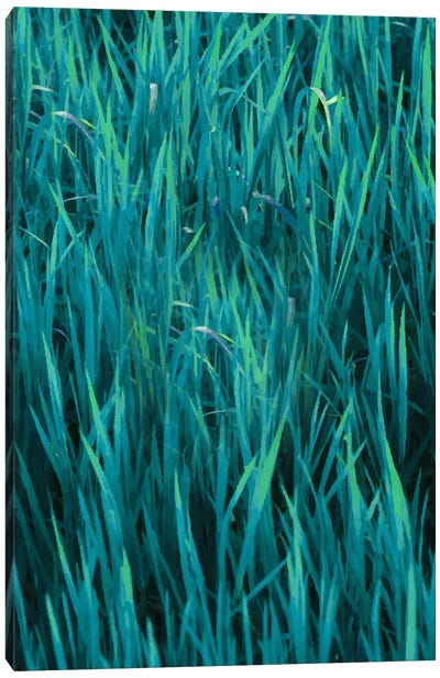 Brighter On The Other Side Canvas Art Print - Grass Art