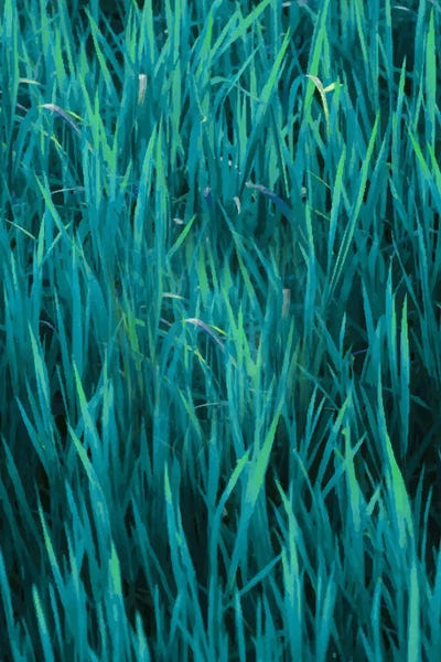 Grasses: Brighter On The Other Side by 83 Oranges