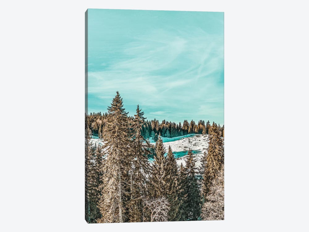 Winter Morning by 83 Oranges 1-piece Canvas Wall Art