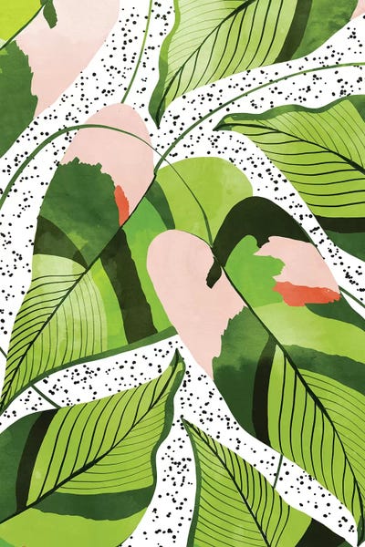 Monsteras: Blushing Leaves by 83 Oranges