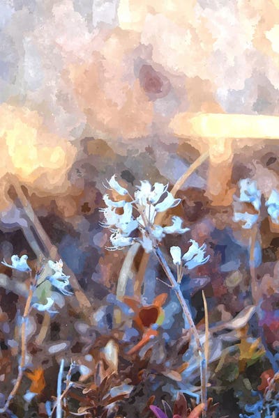 After The Rain by 83 Oranges framed canvas print